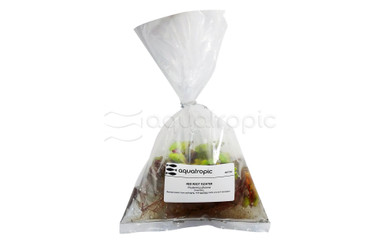 'Red Root Floater' Cup AT :: 80752