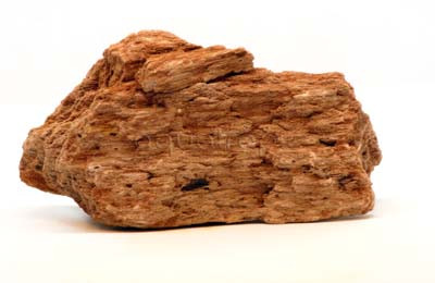 Canyon Fossil Mix Case :: 0960481