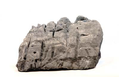 Fossil Stone :: 0960510