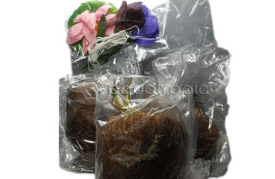 Lily Tuber Assorted (3 pack) :: 81051