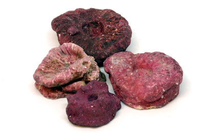 RR Frag Rock Bucket (approx. 5 lb bucket) :: 56010
