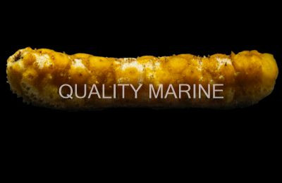 Assorted Sea Cucumber  :: 53000