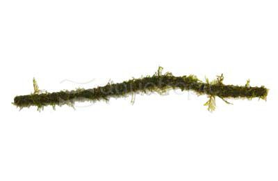 Vining Moss Rod :: 43295