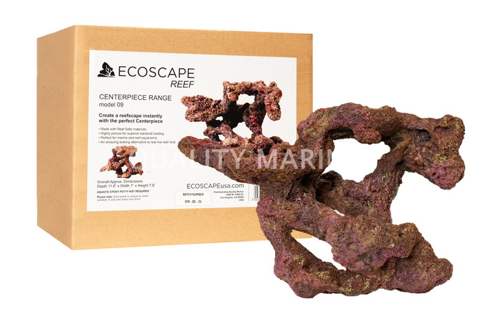 Ecoscape Reef Centerpiece 09 :: 0960607