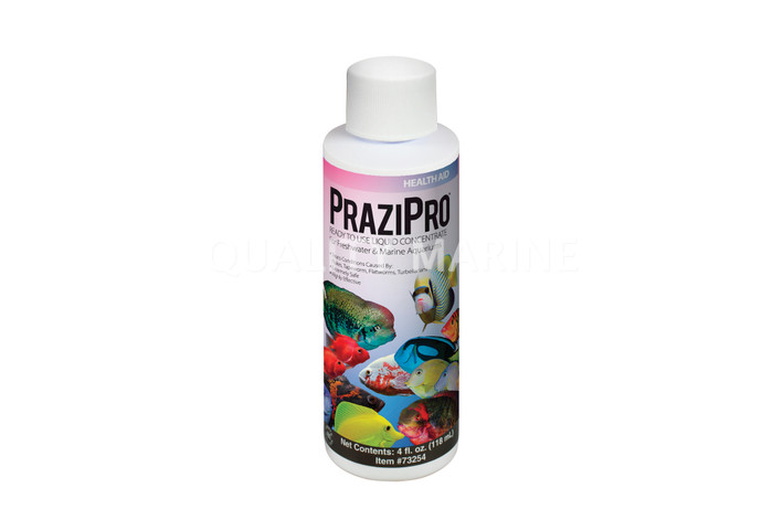 Hikari PraziPro 4oz :: 0759780