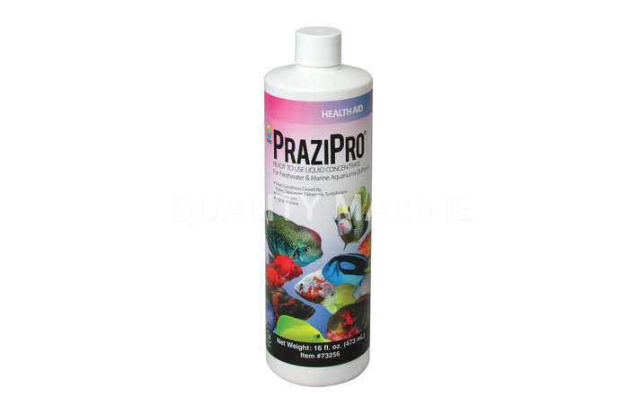 Hikari PraziPro 16oz :: 0759790