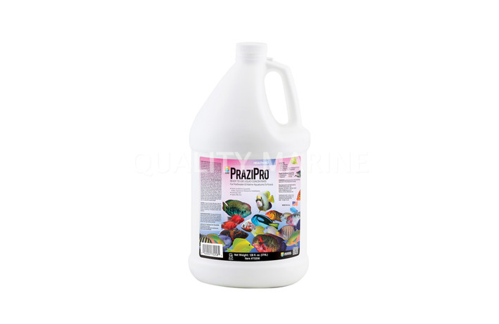 Hikari PraziPro 1 Gallon :: 0760290