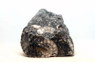 Shell Stone :: 0960420