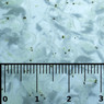 Mysis Shrimp Slice :: 0731710