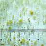 Gamma Finely Chopped Mussel Blister Pack :: 0729080