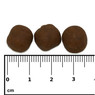 Nutramar Marine Complete Shots 12mm 60g :: 0739500