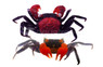 Red Devil Crab :: 20104
