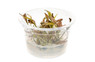 Cryptocoryne "Flamingo" Cup AT :: 80721