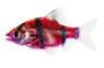 Glo Galactic Purple Barb :: 08503