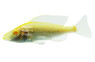 Albino Compressiceps Malawi Cichlid :: 18086