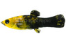 Golden Panda Molly :: 47027