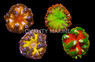 Ultra Rock Flower Anemone :: 50066