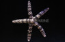 Chocolate Mesh Sea Star :: 59092