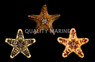 Assorted African Sea Star :: 59000