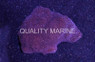 Purple Encrusting Montipora Coral :: 52031