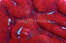 Super Red Lobophyllia Brain Coral :: 52205