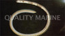 Golden White Ear Garden Eel :: 16031