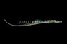 Gulf Pipefish