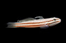 Sleeper Railway Glider Goby