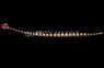 Banded Pipefish