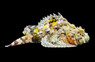 Stonefish Scorpionfish :: 28008