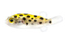 Green Spotted Pufferfish :: 19714