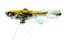 Pantadon Butterfly :: 90112