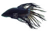 Black Orchid Crowntail Betta, Male w/cup :: 10620