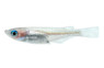 Galaxy Medaka Rice Fish :: 63506