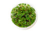 Hydrocotyle tripartita Cup AT :: 80512