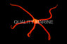Red Bahama Serpent Sea Star :: 59034