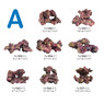 Ecoscape Reef Mix A :: 0960478