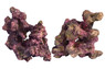 Ecoscape Reef Mix B :: 0960479