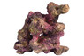Ecoscape Reef Mix C :: 0960484