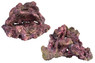 Ecoscape Reef Mix C :: 0960484