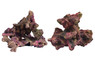 Ecoscape Reef Mix C :: 0960484