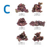 Ecoscape Reef Mix C :: 0960484