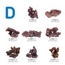 Ecoscape Reef Mix D :: 0960483