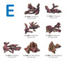 Ecoscape Reef Branch Mix :: 0906477