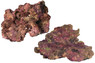 Ecoscape Reef Plate Mix :: 0960485