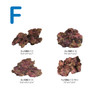 Ecoscape Reef Plate Mix :: 0960485