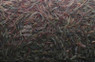 Black/Red Worms :: 66500