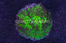 Mushroom  Hairy, Green :: 17197