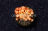 Flower Pot, Yellow/Orange Starburst :: 14518