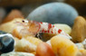 Red Galaxy Shrimp :: 20059